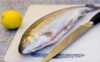 Красная рыба Голец (Охотское море)