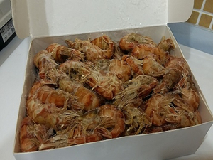 Креветка медвежонок шримс 500 гр.