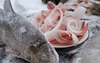 Чир свежемороженый Якутия
