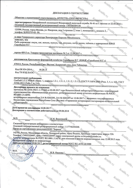 Белорыбица