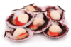 Морской гребешок филе 40-60 шт. 500 грамм