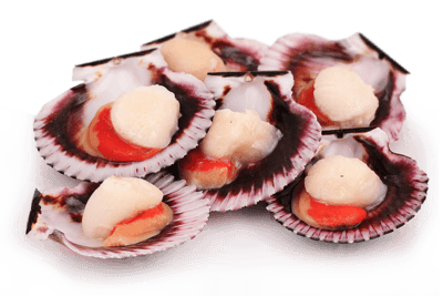 Морской гребешок филе 40-60 шт. 500 грамм