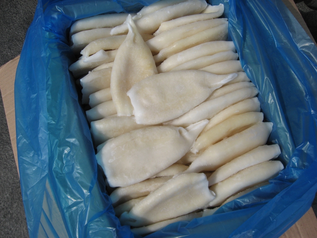 Кальмар Командорский морская заморозка
